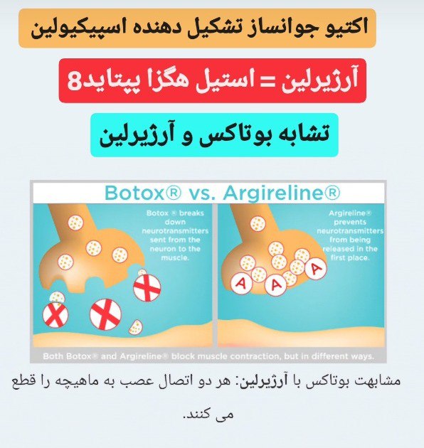 حسین زاده سایت